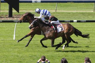 Tiptronic (NZ), winner of Leg 2 in the NZB Insurance Weight-forAge Triple Crown. 